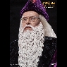 ALBUS DUMBLEDORE (NORMAL VERSION)